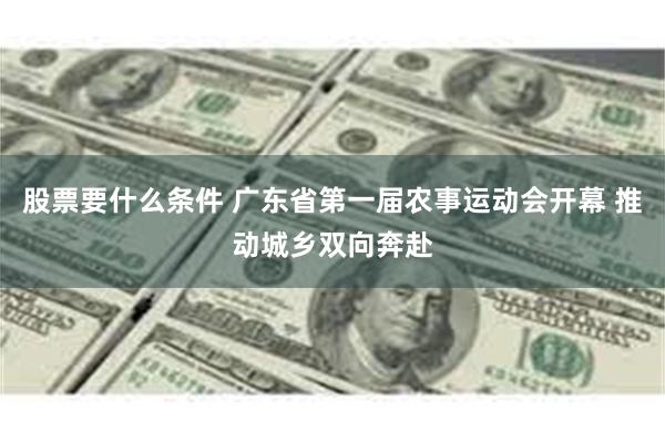 股票要什么条件 广东省第一届农事运动会开幕 推动城乡双向奔赴