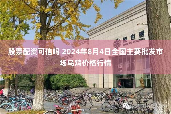 股票配资可信吗 2024年8月4日全国主要批发市场乌鸡价格行情