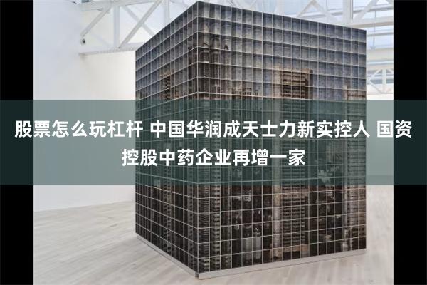 股票怎么玩杠杆 中国华润成天士力新实控人 国资控股中药企业再增一家