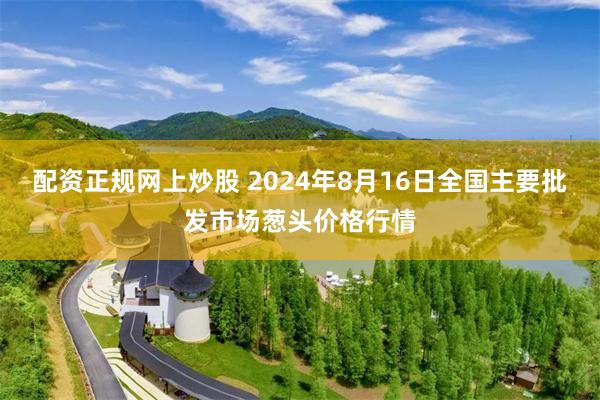 配资正规网上炒股 2024年8月16日全国主要批发市场葱头价格行情