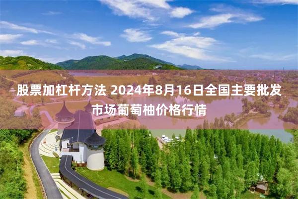 股票加杠杆方法 2024年8月16日全国主要批发市场葡萄柚价格行情