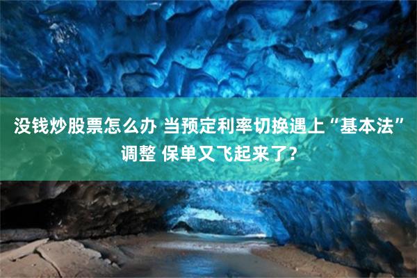 没钱炒股票怎么办 当预定利率切换遇上“基本法”调整 保单又飞起来了？