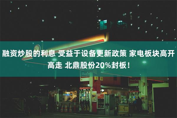 融资炒股的利息 受益于设备更新政策 家电板块高开高走 北鼎股份20%封板！