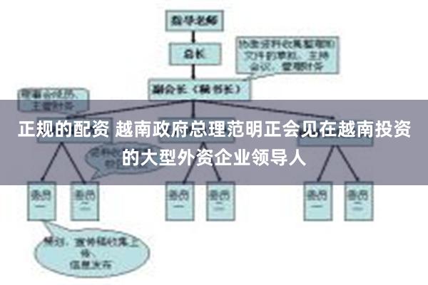 正规的配资 越南政府总理范明正会见在越南投资的大型外资企业领导人