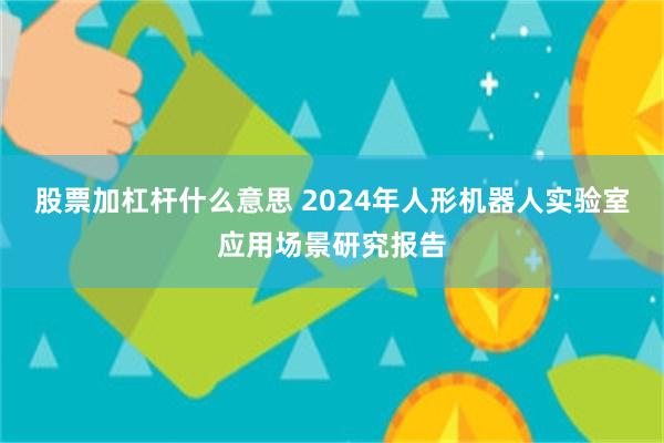 股票加杠杆什么意思 2024年人形机器人实验室应用场景研究报告