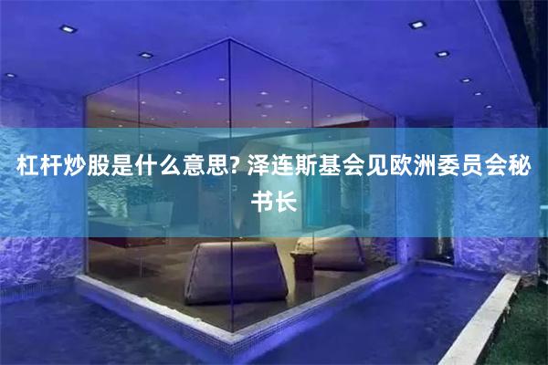 杠杆炒股是什么意思? 泽连斯基会见欧洲委员会秘书长