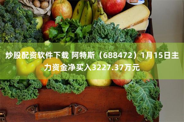 炒股配资软件下载 阿特斯（688472）1月15日主力资金净买入3227.37万元