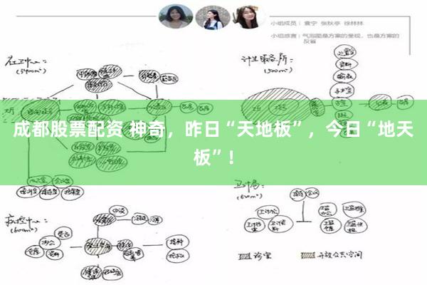 成都股票配资 神奇，昨日“天地板”，今日“地天板”！