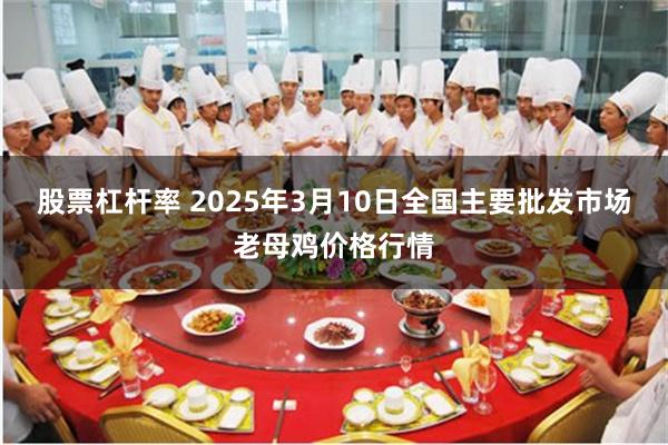 股票杠杆率 2025年3月10日全国主要批发市场老母鸡价格行情